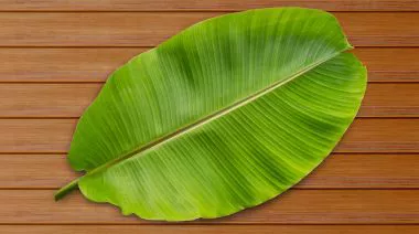 plating-instructions-image